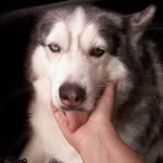 Fay Joyce - @fay.joyce.583 - Instagram