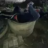 Fay Jung - @fay.jung8 - TikTok