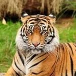 Kaplan Fayat Deveci - @kaplanfayatdeveci - Instagram
