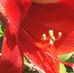 Fay Katz - Facebook