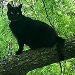 Fay Keller - @fay_ray_k - Instagram