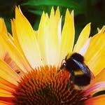 Fay Kelly - @elizabeth.fay29 - Instagram