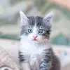 user9084185048184 - @faythe.r.kelly - TikTok