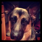 Fay Kemp - @firesiren026 - Instagram
