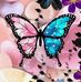Fay King - Facebook