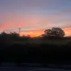 faye 🪸 - @faye.knowles01 - TikTok