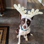 Fay Darlene Lamb - @lambatkinson - Instagram