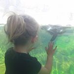 Fay Steve Lamb - @faylamb27 - Instagram
