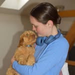 Faye 🐶 - @faye_oleary37 - Instagram