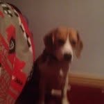 Mason Fay - @masonfay1606 - Instagram