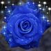 Fay McDaniel - Facebook