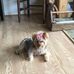 Fay McDaniel - Facebook