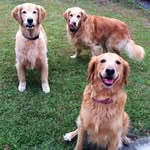 Faye McMillan Johnson - @faye.m.johnson.3 - Instagram