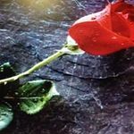 Fay Miller - @fay.miller.547 - Instagram