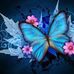 Fay Mullins - Facebook