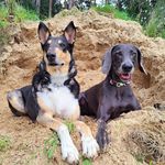 Fay💕 & Murphy💙 - @fay_murphy1715 - Instagram