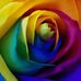 Fay Murphy - Facebook
