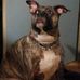 Faye Murphy - Facebook