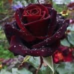 Faye Humason Parks - Facebook
