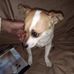 Faye Reed - Facebook