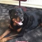 Fay Richardson Toase - @faytoase - Instagram