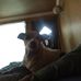 Fay Ring - Facebook