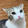 RoseyMarie - @fayyshops - TikTok
