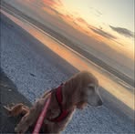 Faye Stanley - Facebook