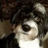 Faye Vaughn - @faye.vaughn - TikTok