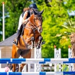 Fay vogels - @fay_vogels - Instagram
