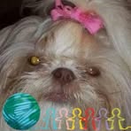 Linda Fay Vogel - Facebook