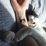 Fay Wainwright - @fay.wainwright50 - Instagram