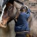 Faye Waters - Facebook