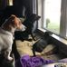 Faye Watts - Facebook