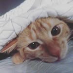 Future - @faywatts101 - Instagram