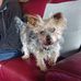 Fay Welch - Facebook