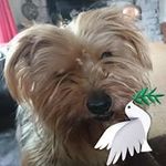 Fay Welch - @fay.welch.94 - Instagram
