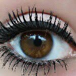 tonya fay wells - @tonyafaywells - Instagram