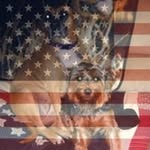 Fay Wilcox - @wilcoxfay - Instagram