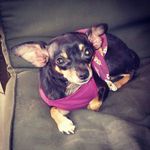 Faye Wiley - @faye.wiley - Instagram