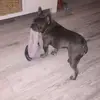 Winston_faye2021 - @faye_winston2021 - TikTok