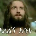 Shewit Tesefay - @shewittesefay - Instagram