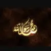 fayez_wolf_ - @fayez_wolf_ - TikTok