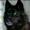 faywolf111 - @faywolf111 - TikTok