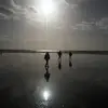 no - @fay_wray - TikTok
