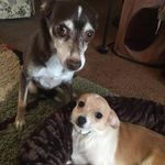 Faye Yates - @faye.yates.52 - Instagram