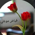 فياض موغلي - @fayaz_mirzafayaz - Instagram