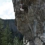 Aaron Faye - @aaronfaye - Instagram