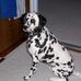 Faye Ackerman - Facebook