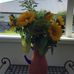 Faye Andersen - Facebook